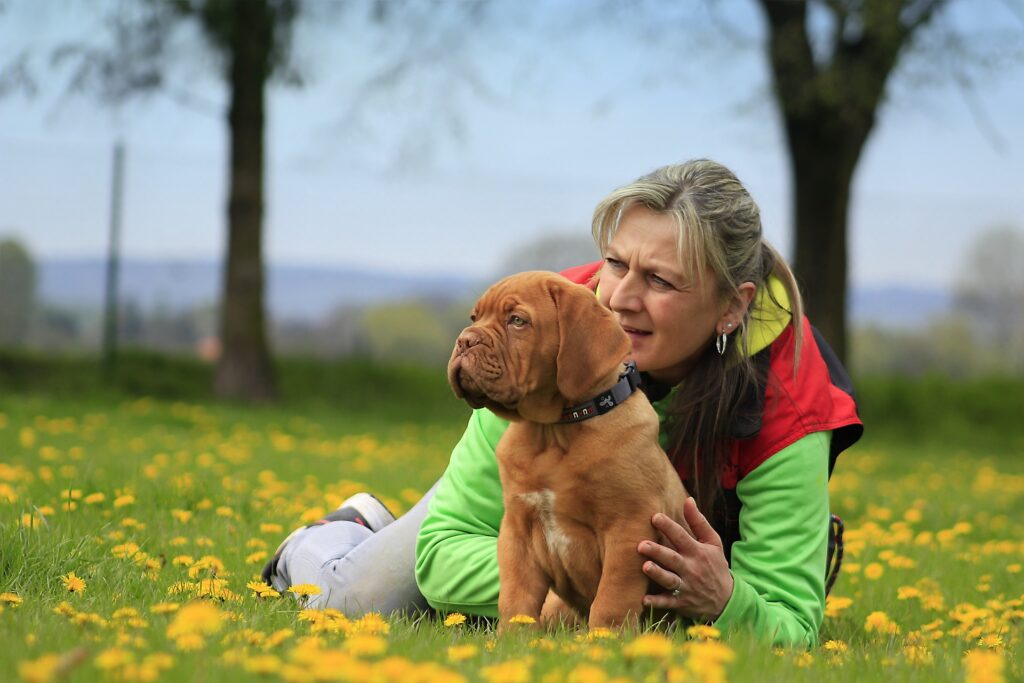 jeune chien et sa maîtresse - l'alimentation du chien ou du chat est la base de sa santé et de son bien-être